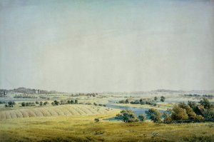 Rogen landscape in Putbus