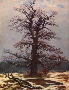 Oak in the Snow 1820s